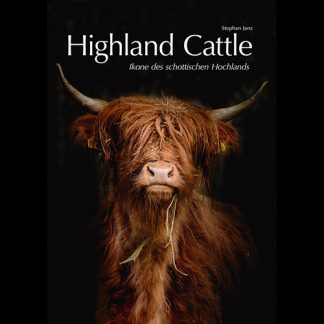 Highland Cattle - Ikone des schottischen Hochlands