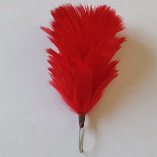 Hackle Rot