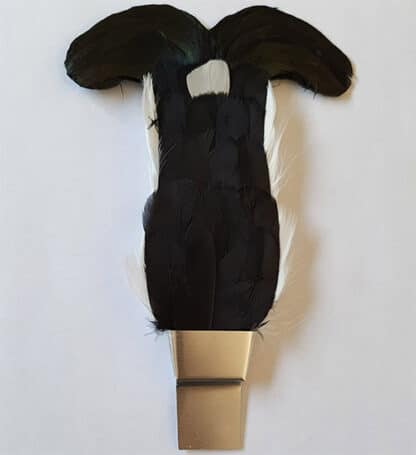 Blackcock Feather