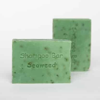 Festes Shampoo Seetang – The Highland Soap Company